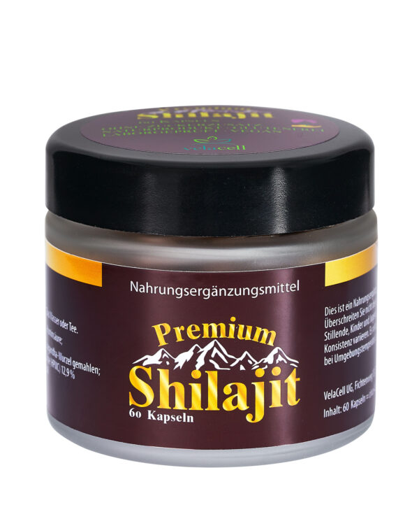 Shilajit 60 Kapseln
